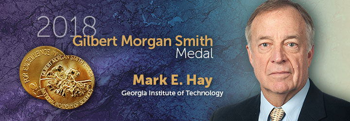 Hay, Mark 2018 Gilbert Morgan Smith Medal