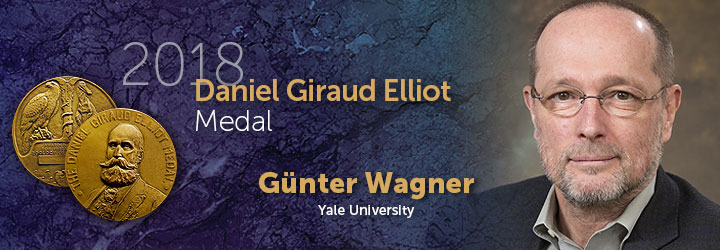 Wagner, Gunter 2018 Daniel Giraud Elliott 