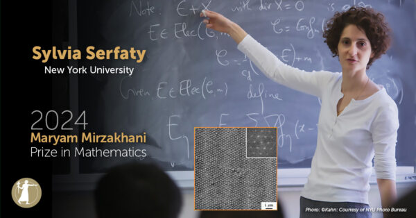 2024 Mirzakhani Prize, Serfaty social