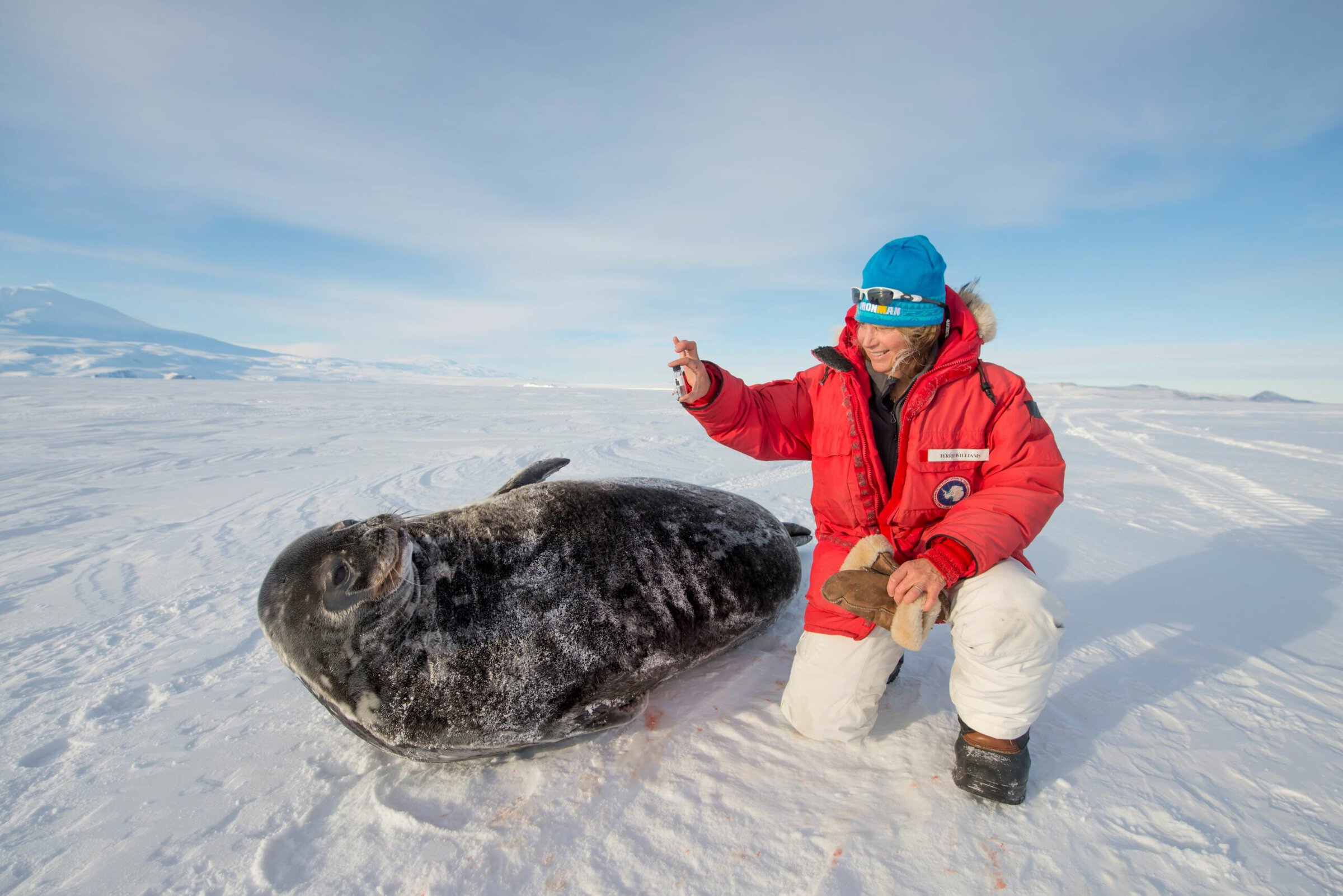 Terrie M. Williams 2024 NAS Award in the Evolution of Earth and Life - Daniel Giraud Elliot Medal.