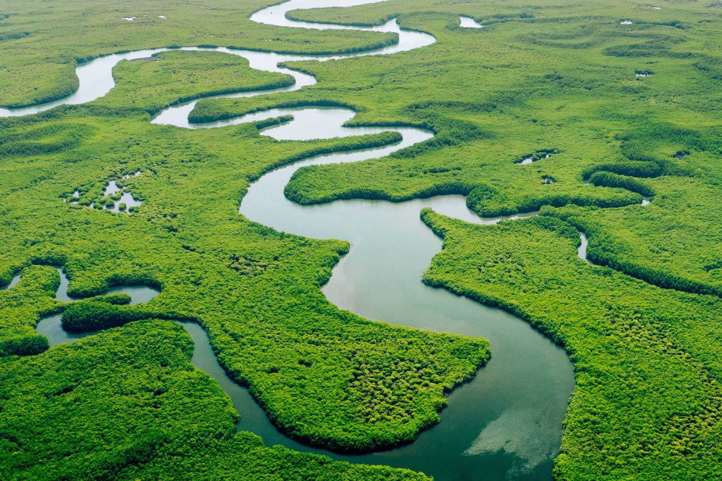 Aerial view of a river winding through a lush green marsh landscape.