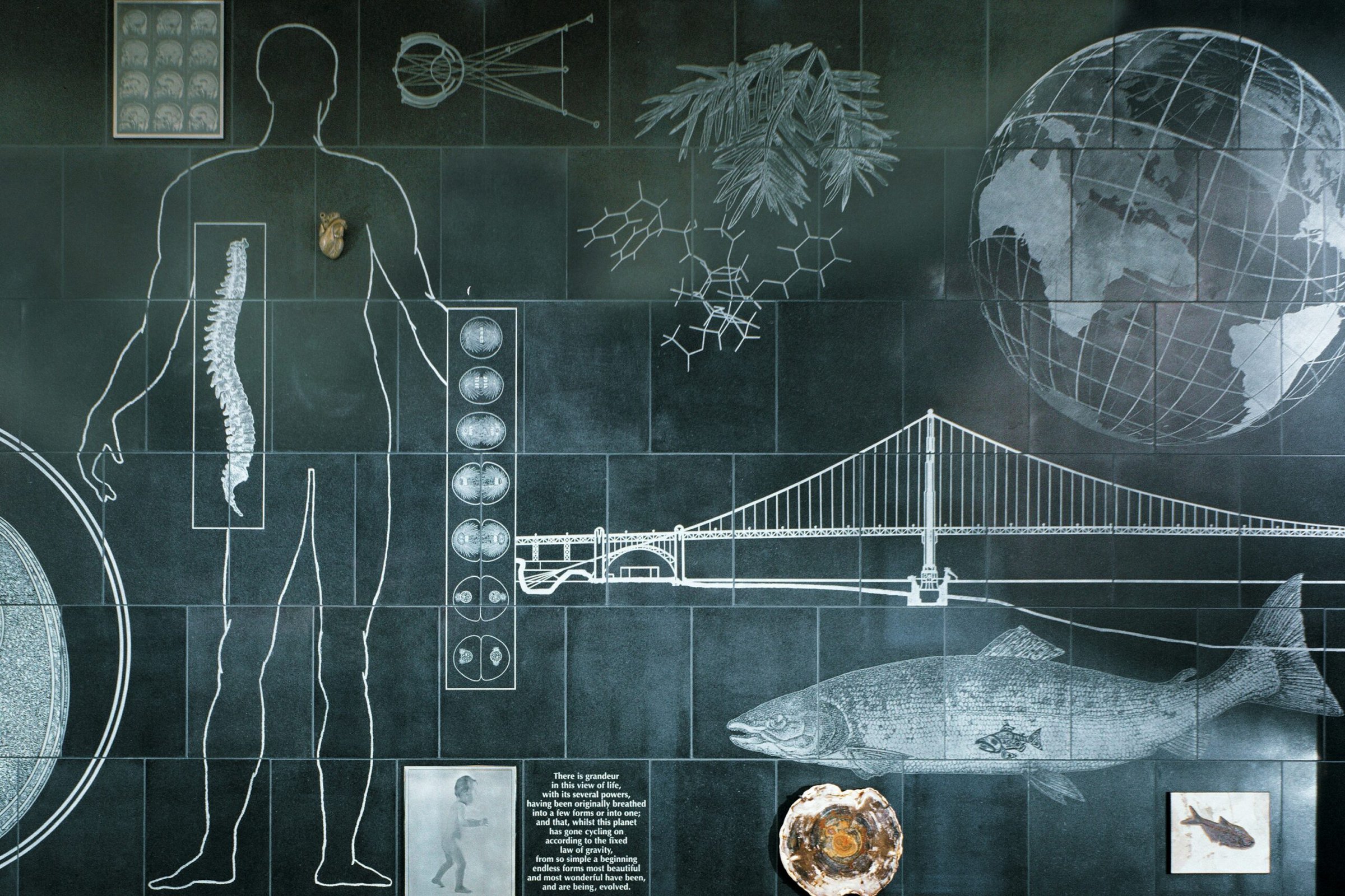 A wall filled with diverse drawings and diagrams, showcasing a range of information and ideas.