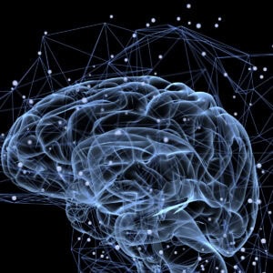A image of the brain