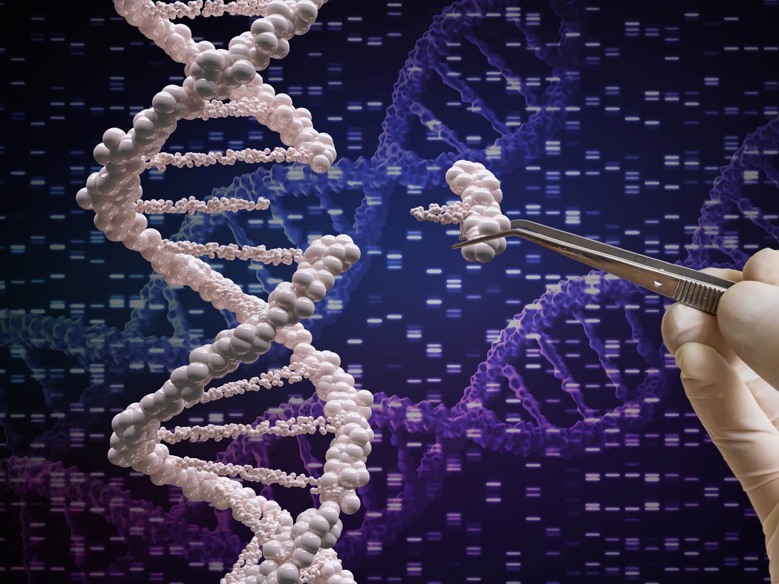 A picture of someone with tweezers picking out a part of a strand of DNA