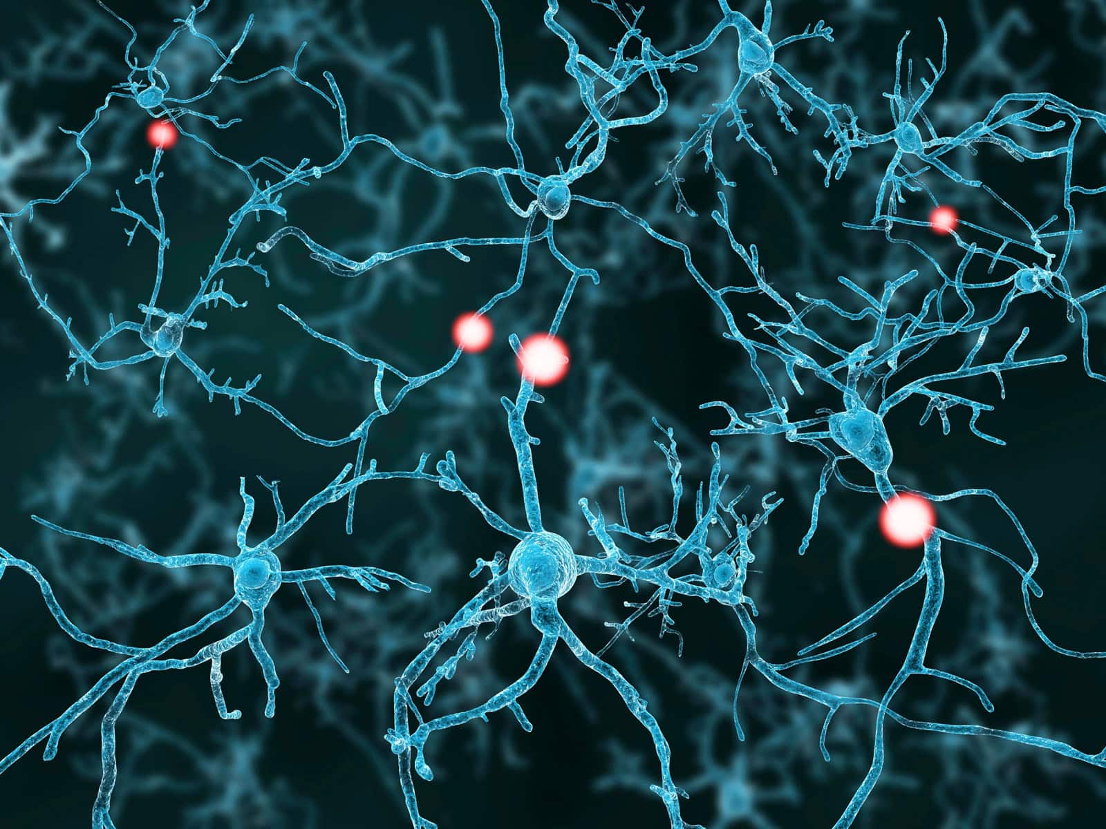 River-HB-Systems-Neuroscience