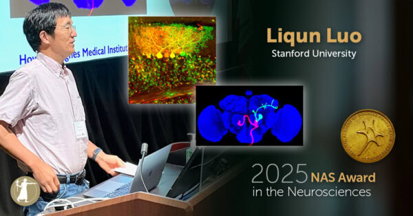 2025 NAS Award in the Neurosciences Recipient Liqun Luo Social 