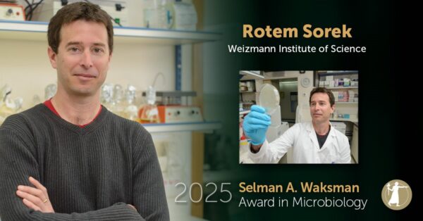 Rotem Sorek 2025 Selman A. Waksman Award in Microbiology
