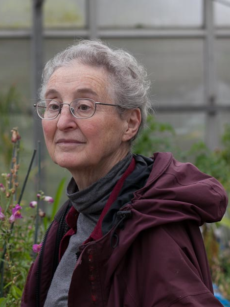 Deborah Charlesworth