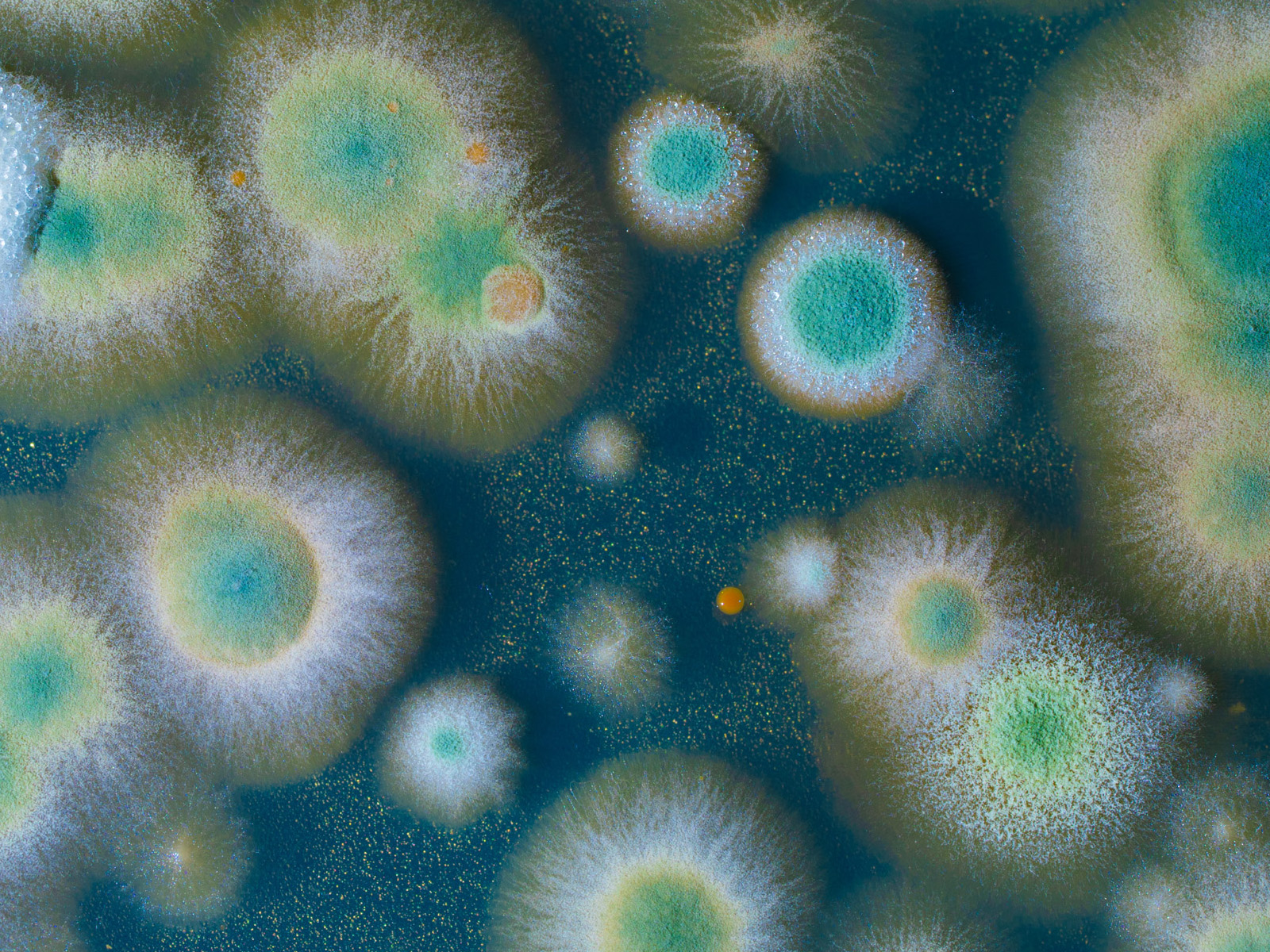 River-HB-Microbiology