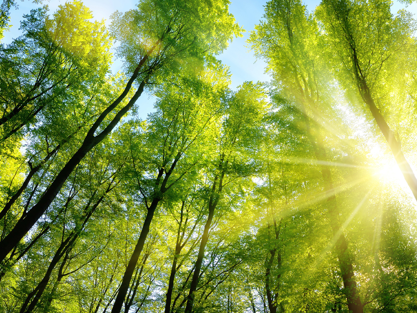 River-HB-Environment-Ecology