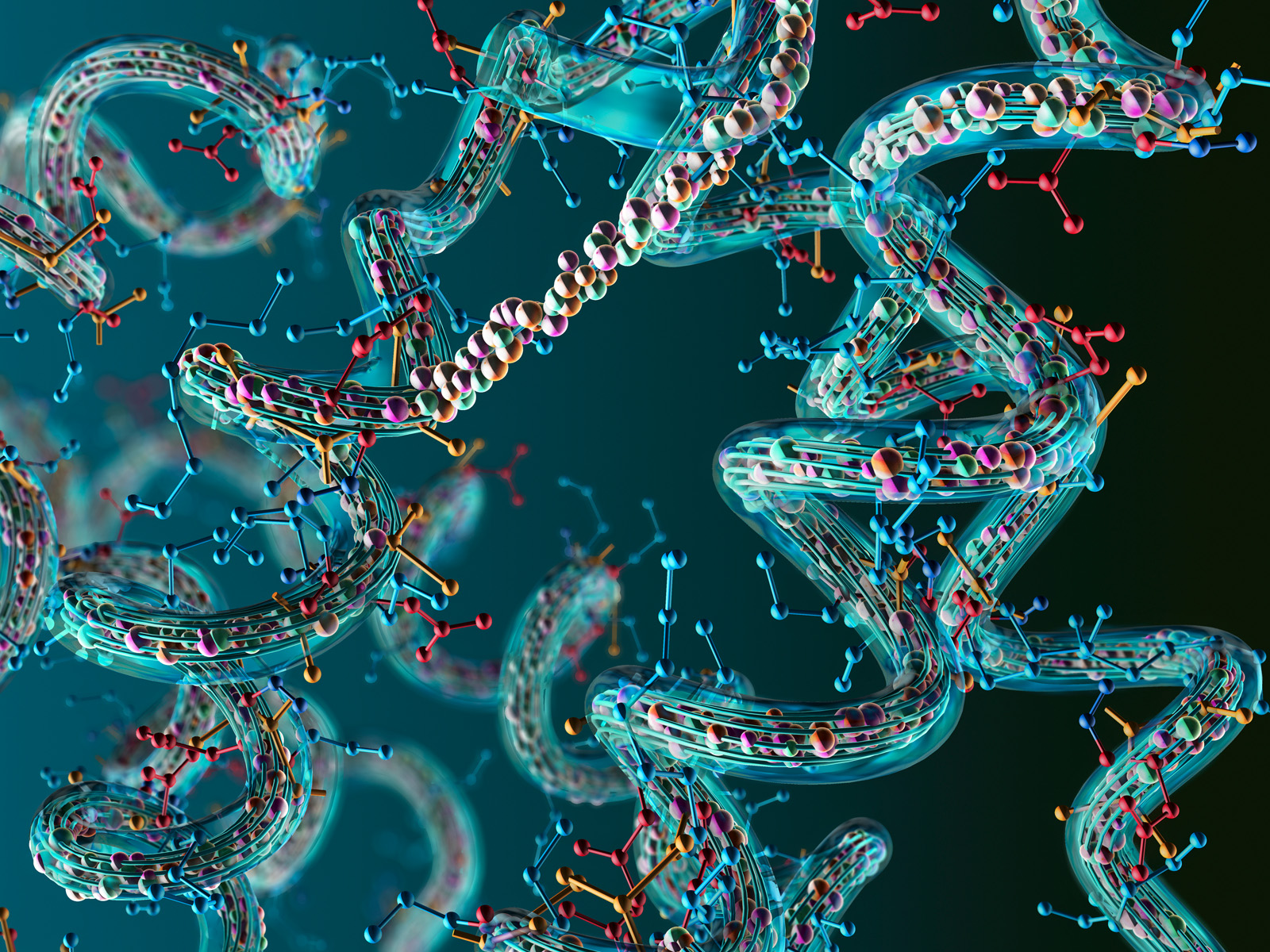 River-HB-Biophysics-CompBiology