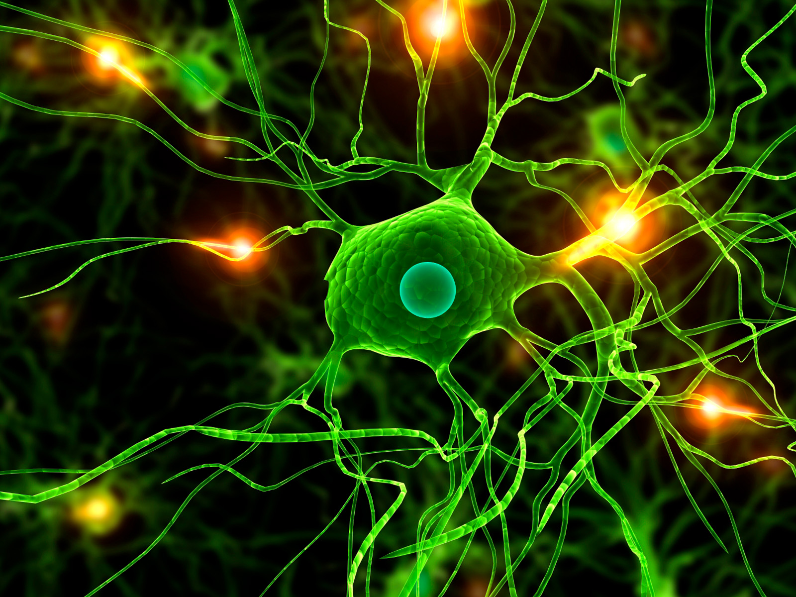 River-HB-Cellular-Molecular-Neuroscience
